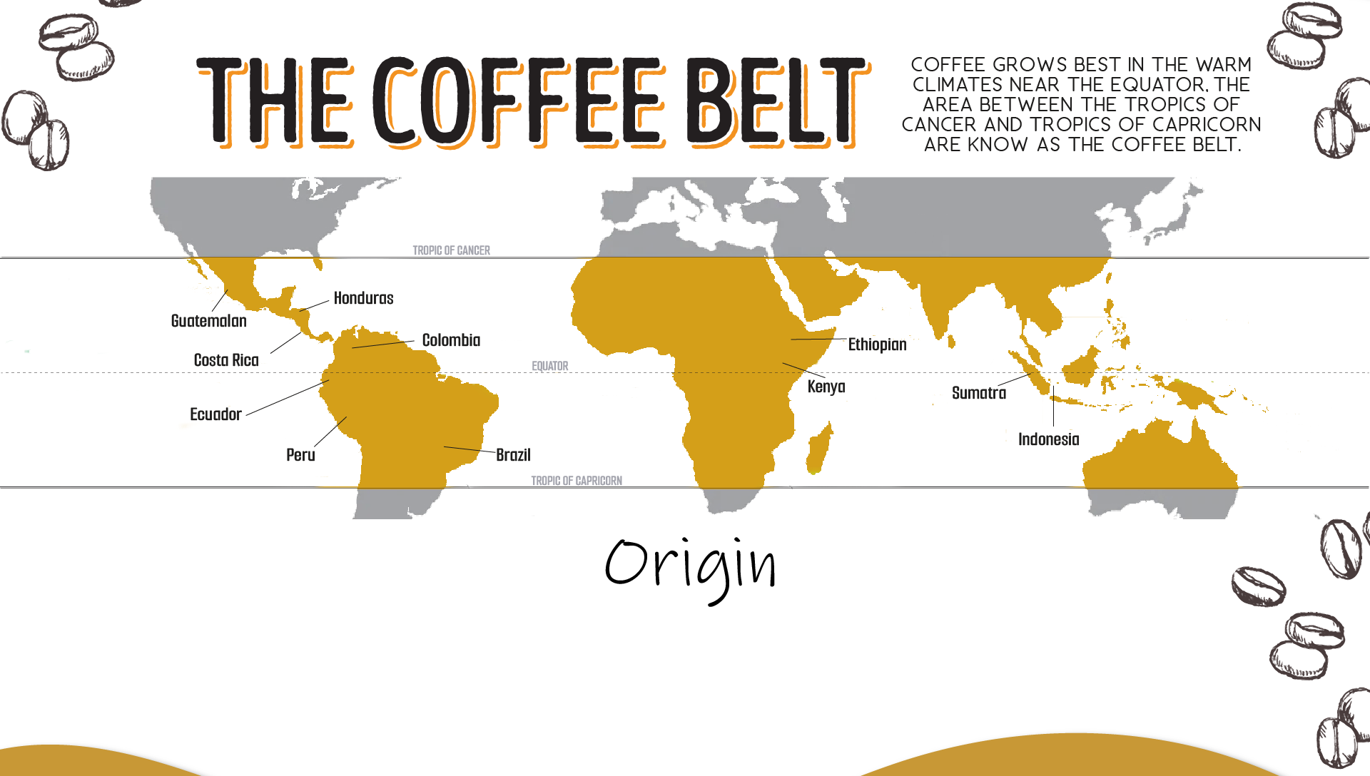 Coffee grows best in the warm climates near the equator, The Area between the Tropics of Cancer and Tropics of Capricorn are know as THE cOFFEE bELT.