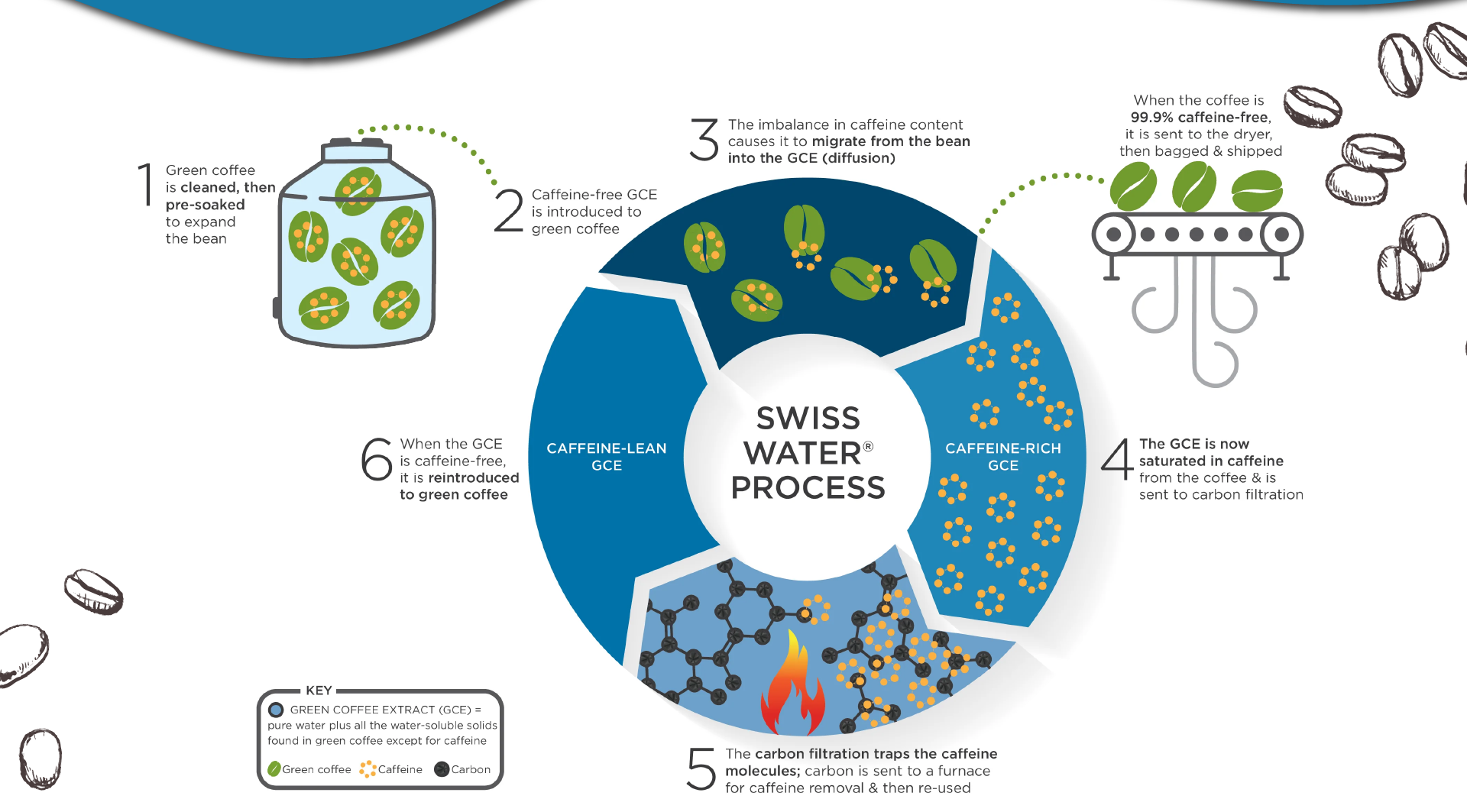 Swiss Water Process Decaf Coffee process chart