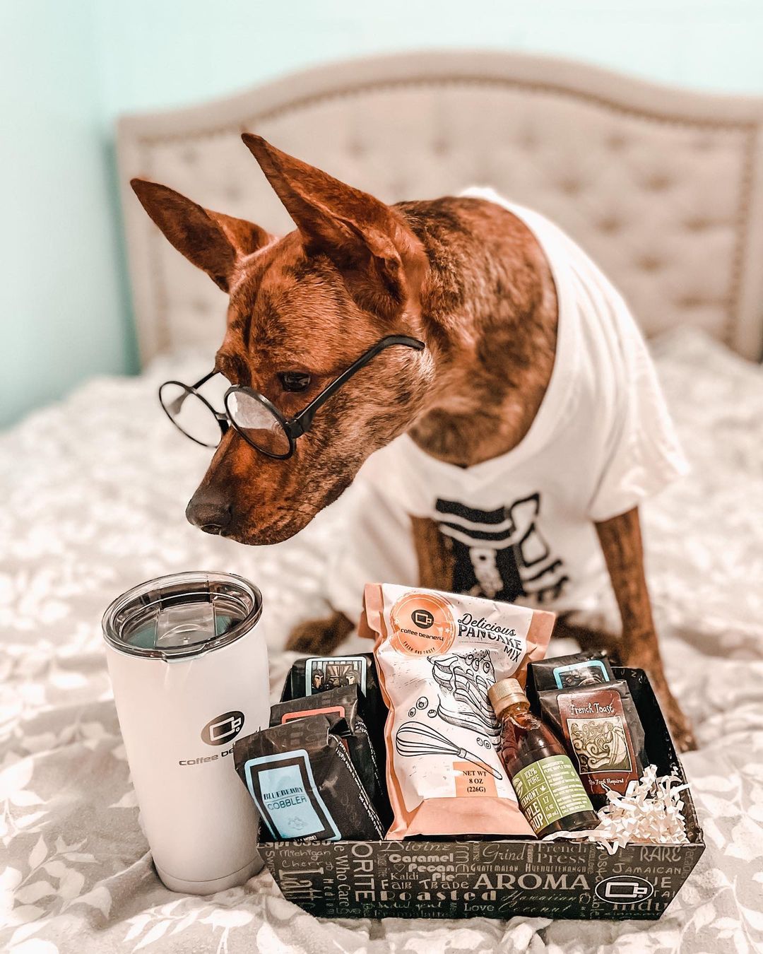 Image of Breakfast in Bed Coffee Gift Basket